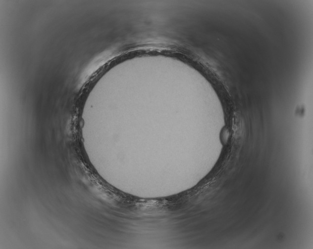 X0000114611352200912010927