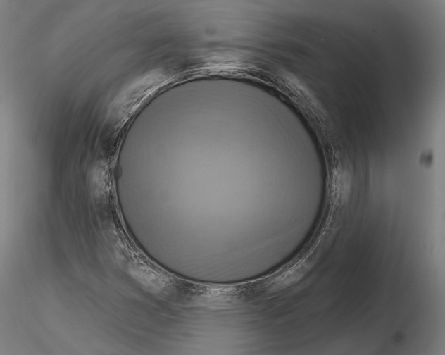 X0000114611353200912010927