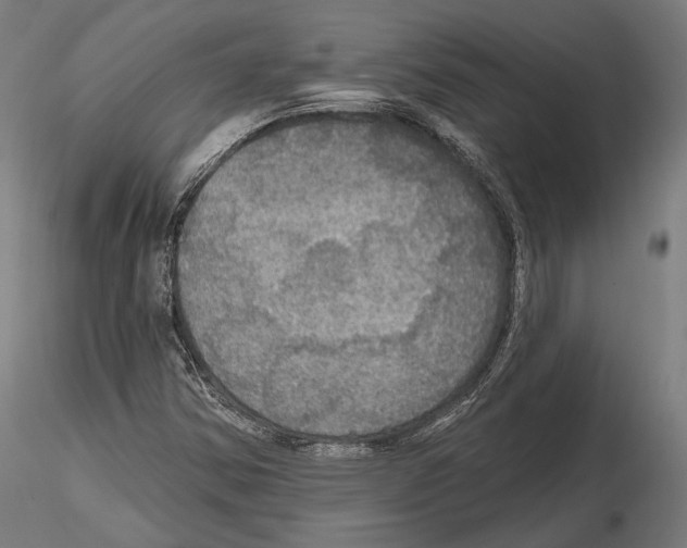 X0000114611354200912010927