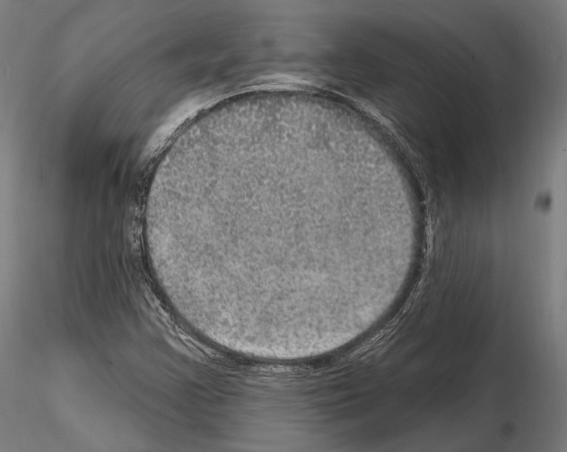 X0000114611355200912010927