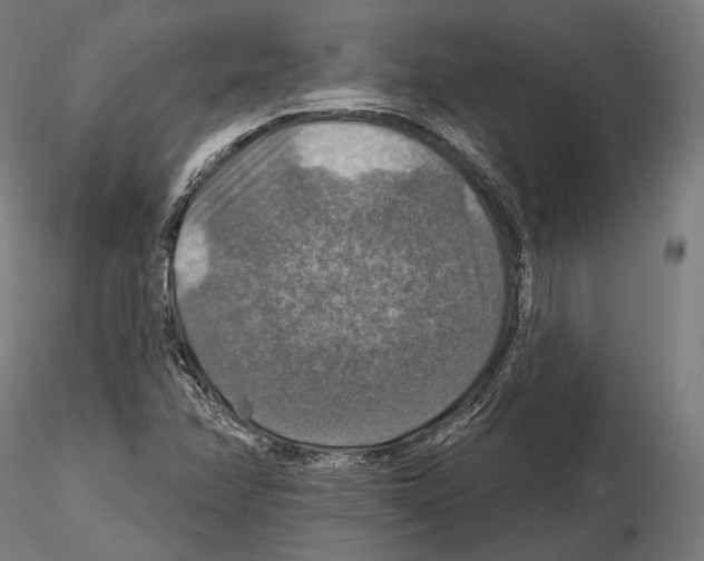 X0000114611358200912010927