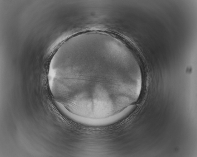 X0000114611359200912010927