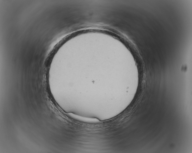 X0000114611360200912010927