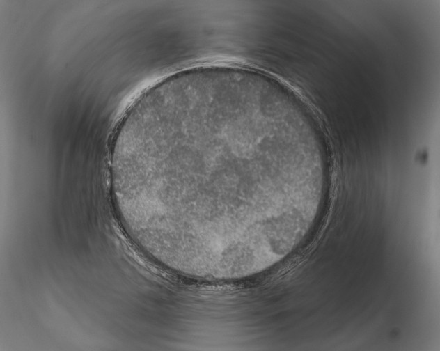 X0000114611363200912010927