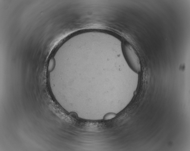 X0000114611364200912010927