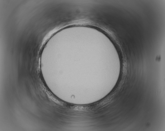 X0000114611366200912010927