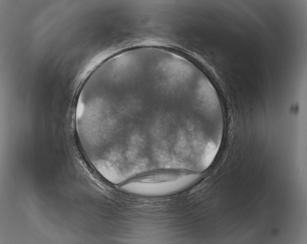 X0000114611367200912010927