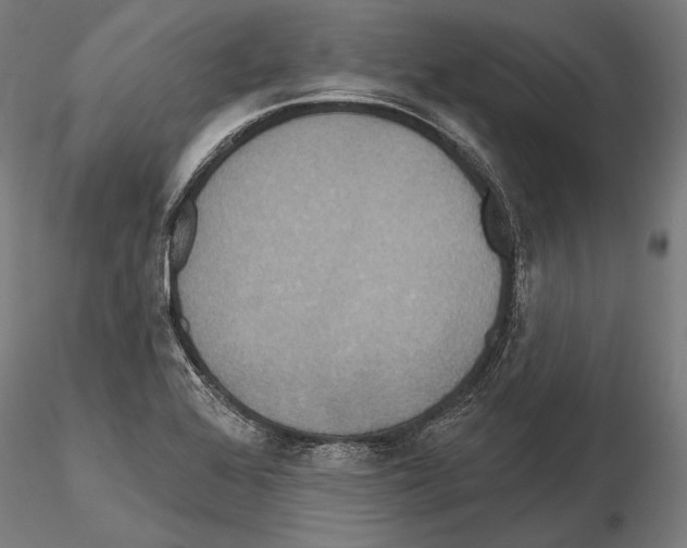 X0000114611368200912010927