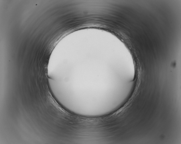 X0000114611369200912010927