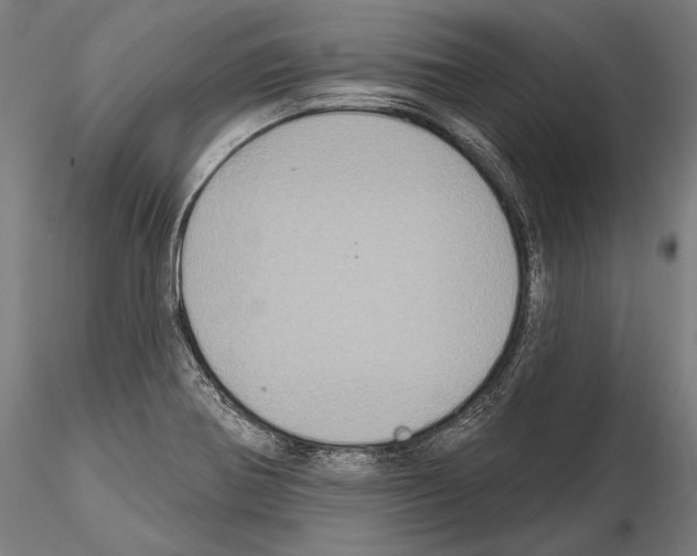 X0000114611370200912010927