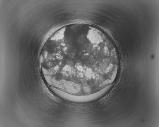 X0000114611371200912010927