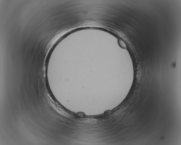 X0000114611372200912010927