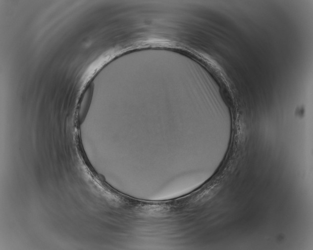 X0000114611373200912010927