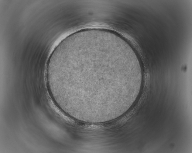 X0000114611374200912010927