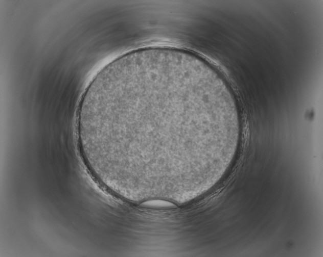 X0000114611375200912010927