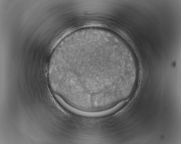 X0000114611377200912010927