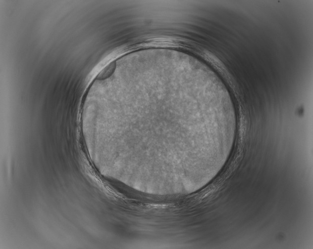 X0000114611378200912010927