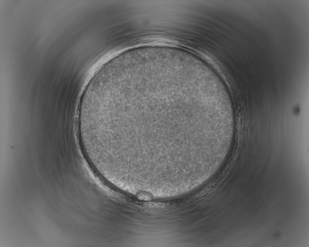 X0000114611379200912010927