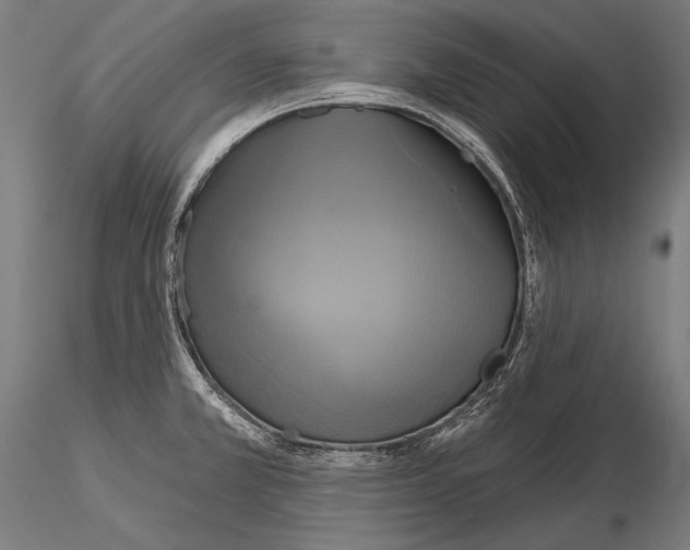 X0000114611381200912010927