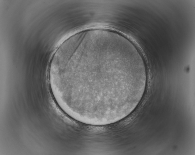 X0000114611382200912010927