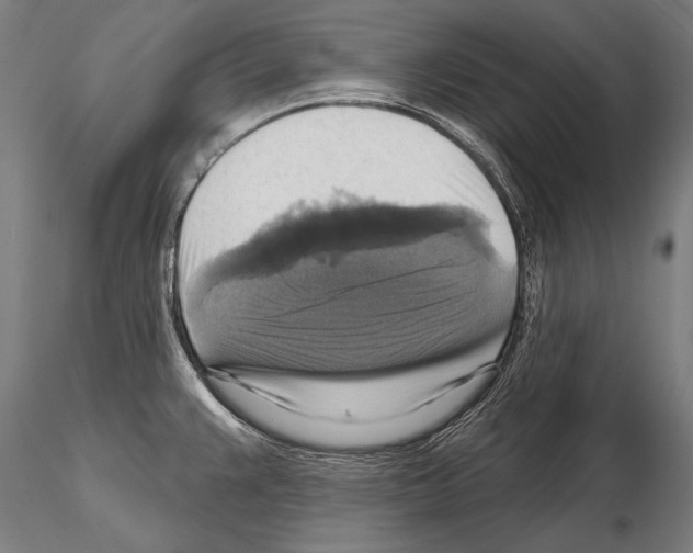 X0000114611383200912010927