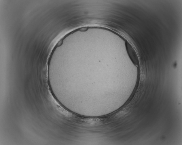 X0000114611388200912010927