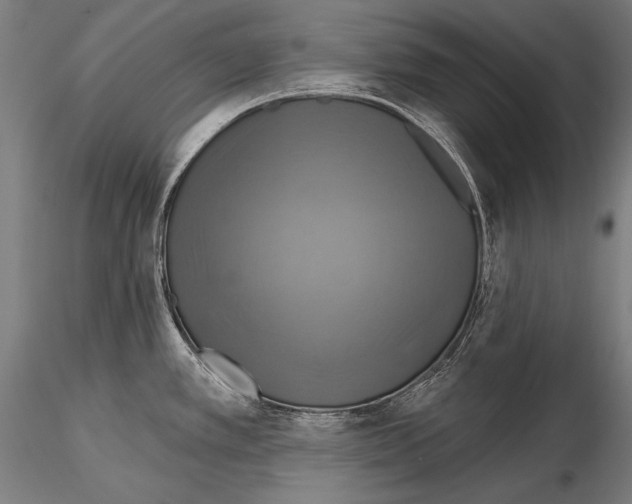 X0000114611389200912010927