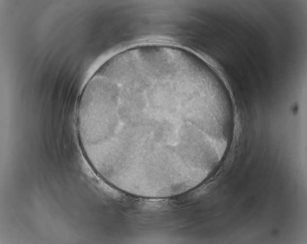 X0000114611390200912010927