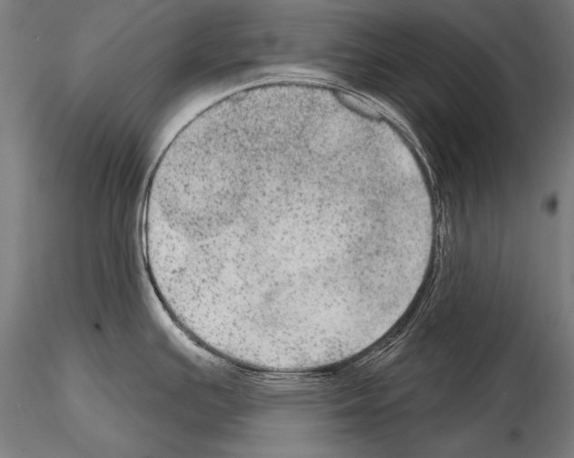 X0000114611391200912010927