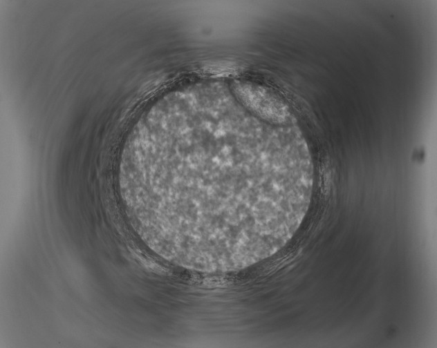 X0000114611393200912010926