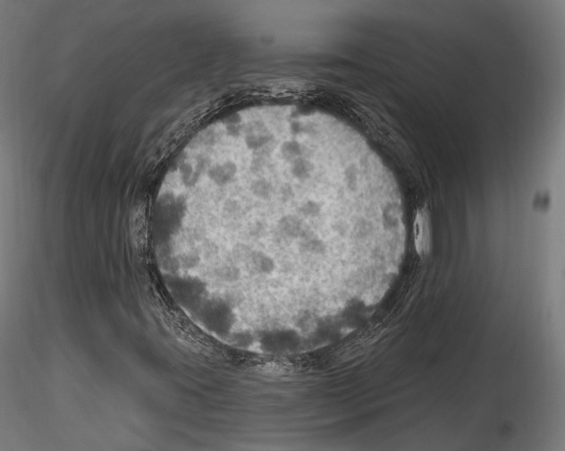 X0000114611395200912010926