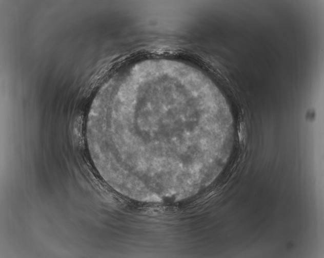 X0000114611396200912010926