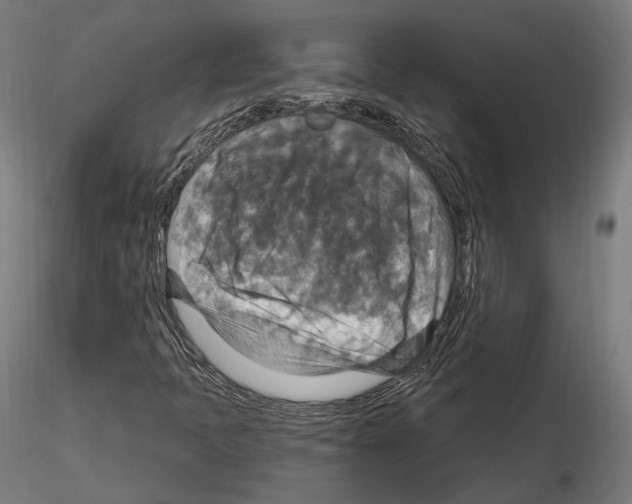 X0000114611397200912010926