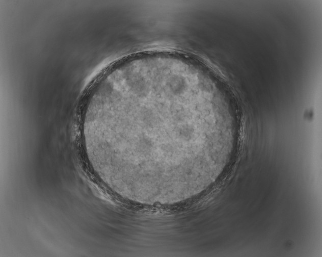 X0000114611400200912010926