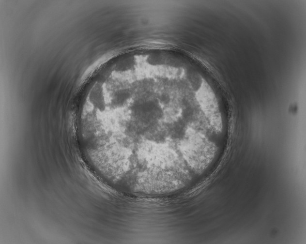 X0000114611402200912010926