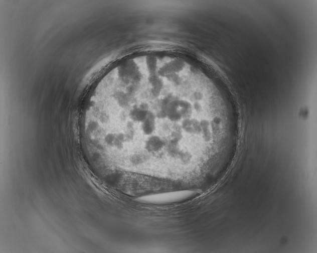 X0000114611403200912010926