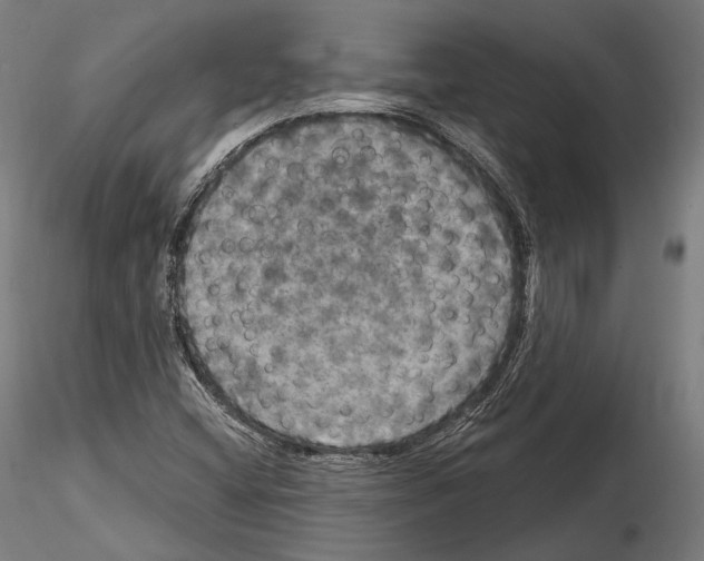 X0000114611404200912010926