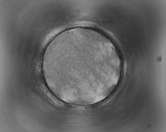 X0000114611405200912010926