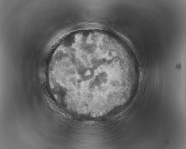 X0000114611407200912010926