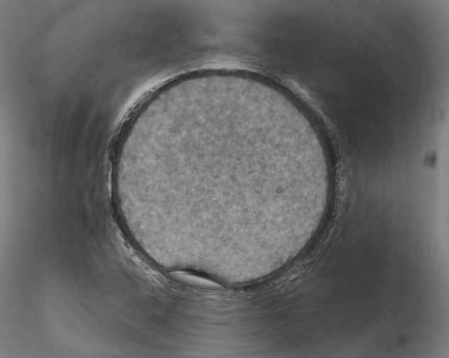 X0000114611408200912010926