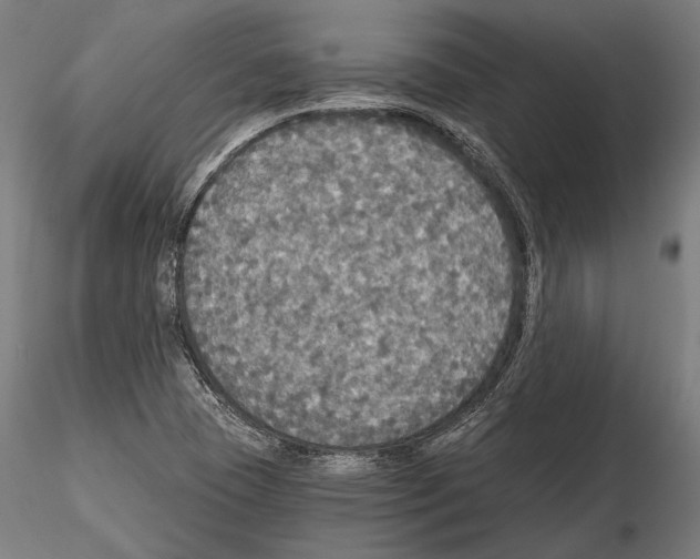 X0000114611409200912010926