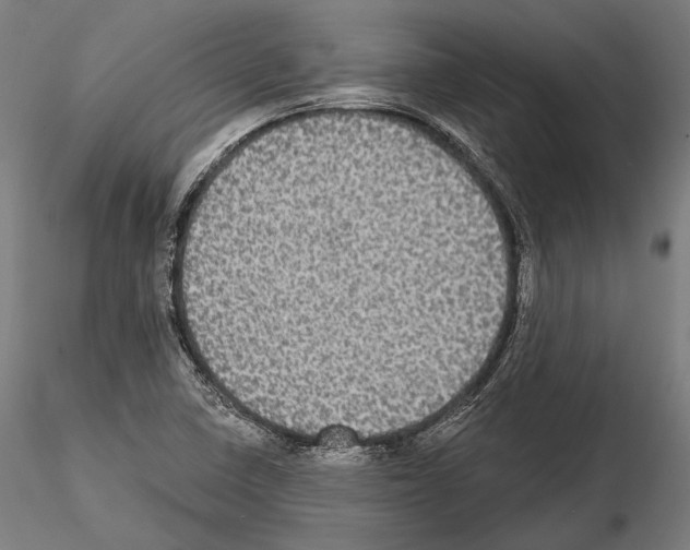 X0000114611410200912010926