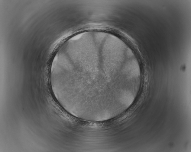 X0000114611411200912010926