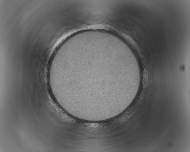 X0000114611412200912010926