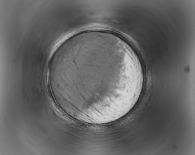 X0000114611413200912010926