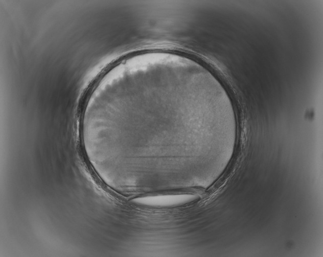 X0000114611414200912010926