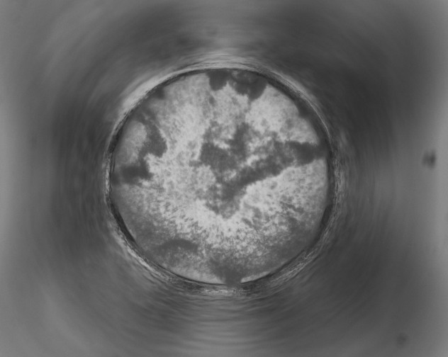 X0000114611415200912010926