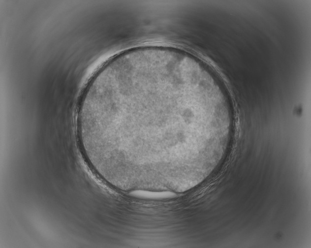 X0000114611416200912010926