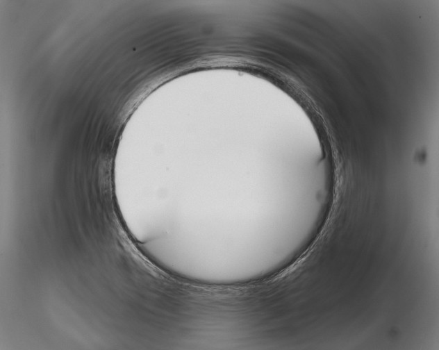 X0000114611417200912010926