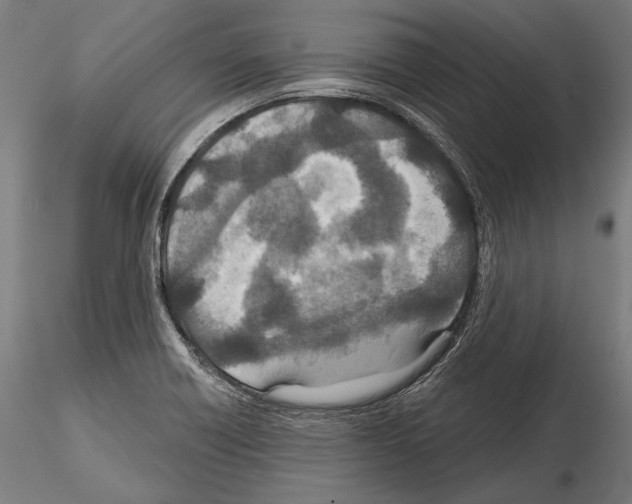 X0000114611418200912010926